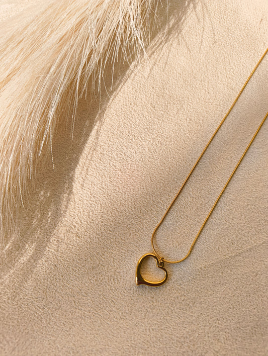 Heart pendant (anti-tranish)